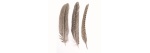 naturfedern_1
